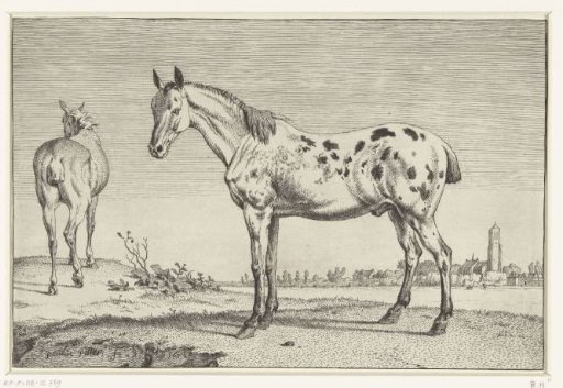The docked horse