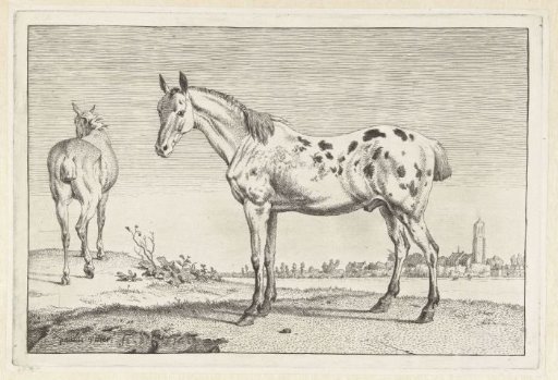 The docked horse