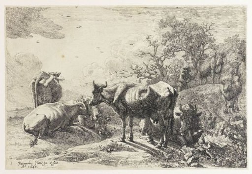 The cattle herder