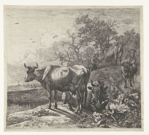 The cattle herder