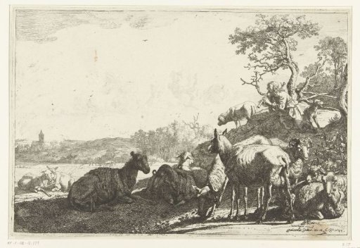 The shepherd
