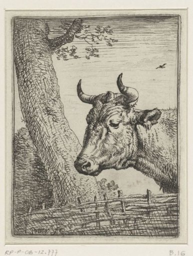 Head of a cow