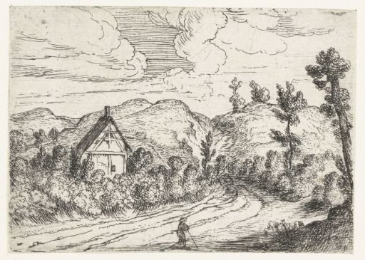 House surrounded by undergrowth