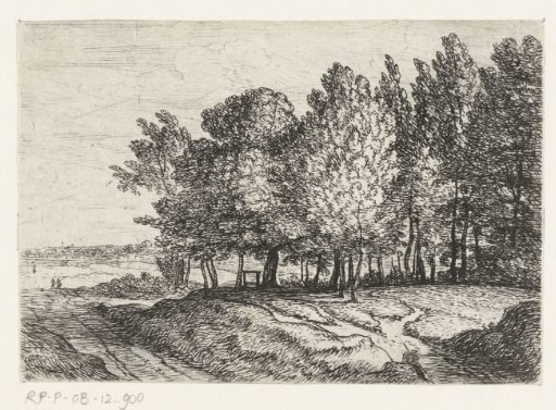 Trees by a path
