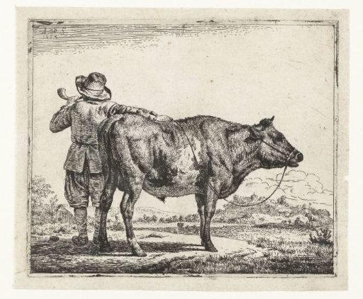 Young shepherd with a bull