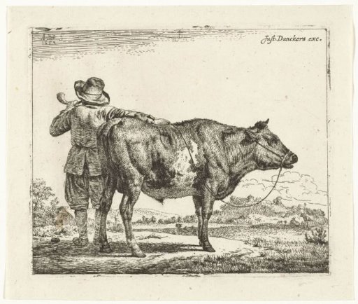 Young shepherd with a bull