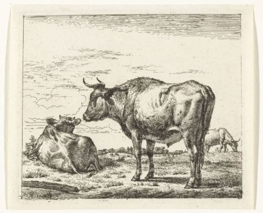 Standing bull