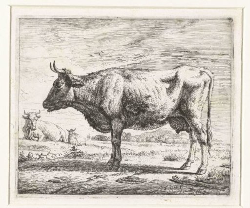 Two cows and a sheep