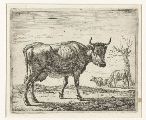 Three cows