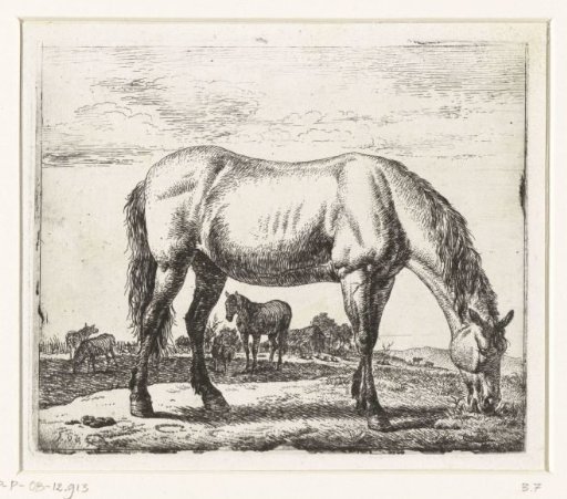 Grazing horse