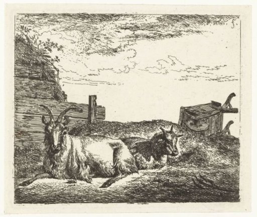 Lying goats