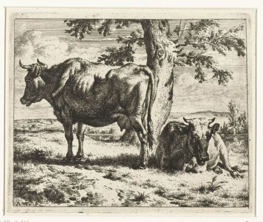 Two cows under a tree