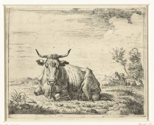 Lying cow