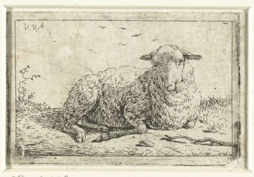 Lying sheep
