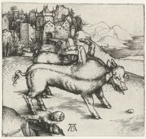 Conjoined Pigs