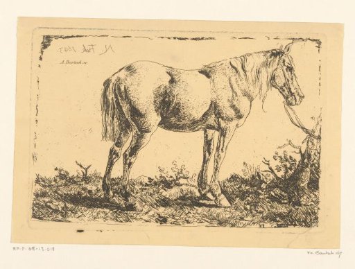 Horse at a tree