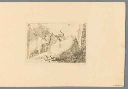 Lying Cow Seen from Behind, with a Standing Bull Behind It