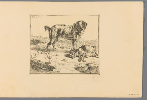 Standing and Sleeping Dog