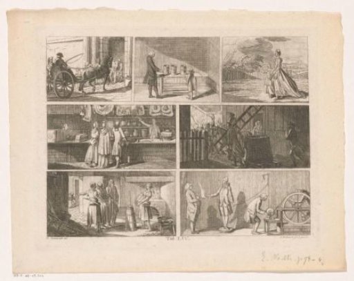 Seven scenes relating to observation and interpretation