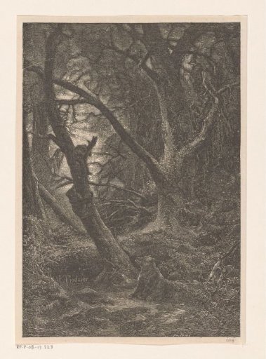Three bears in a forest in Alleghany