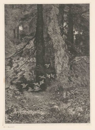 Flock of birds flying through a forest
