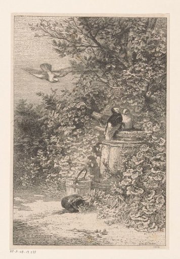 Birds by a rain barrel in the undergrowth