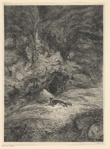 Fox in front of its den in the forest