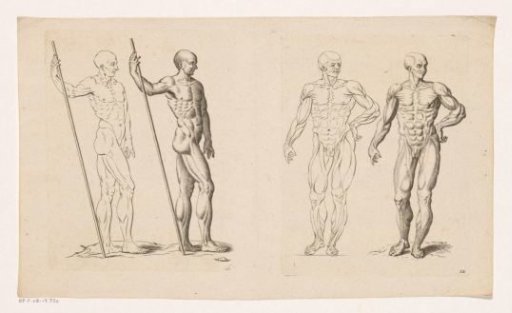 Nude man with a staff seen from the side and nude man in front view