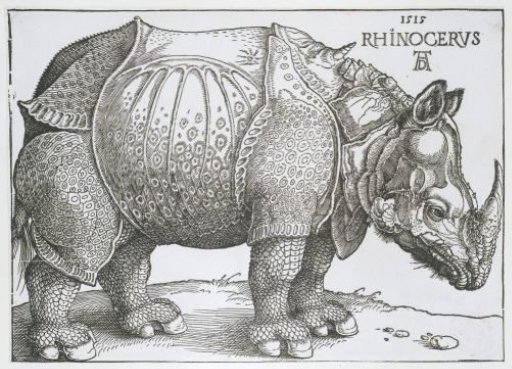 The Rhinoceros