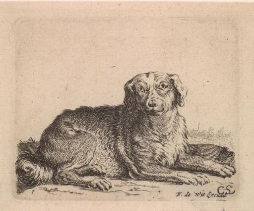 Lying dog