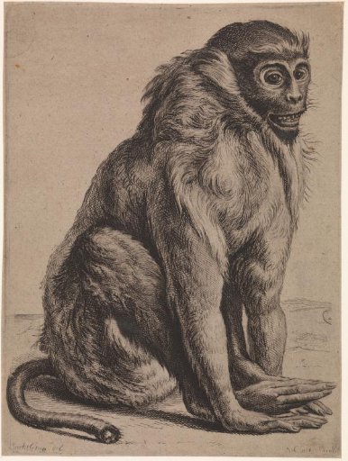 Seated monkey