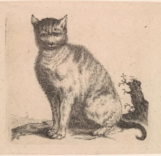Sitting cat