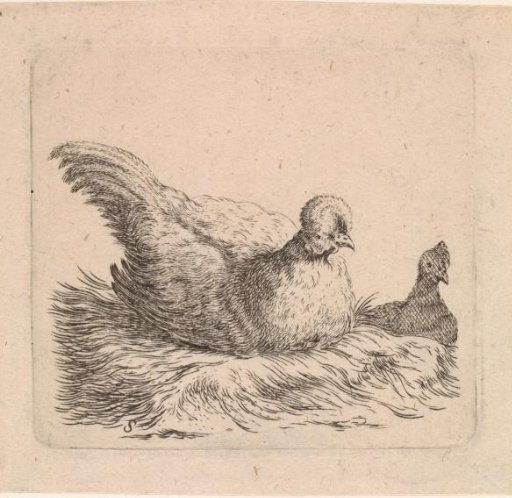 Two hens
