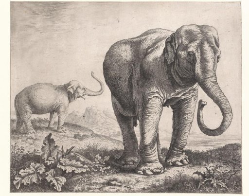 Two Elephants in a Landscape