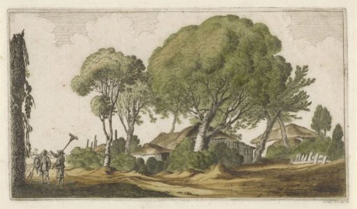Farms Among Trees
