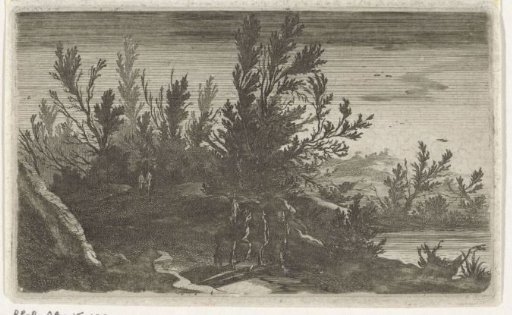 Landscape by Night