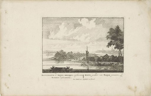 View of Mainz from the North
