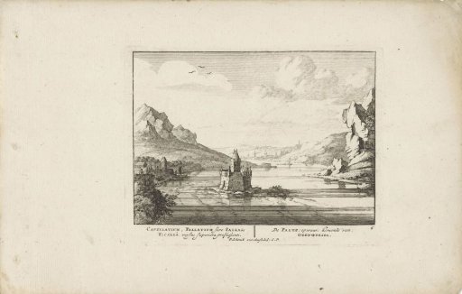 Toll Castle Pfalzgrafenstein in the Rhine, viewed from the North