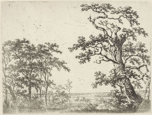 Landscape with a stream