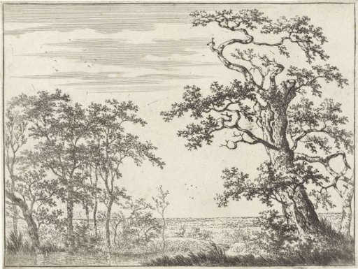 Landscape with a Stream