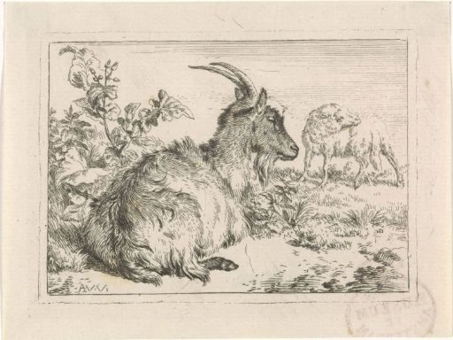 Lying Goat