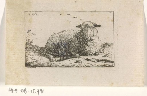 Lying Sheep