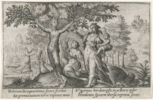 Dryope Picking Blossoms