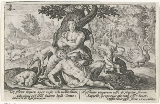 Venus Mourns Adonis