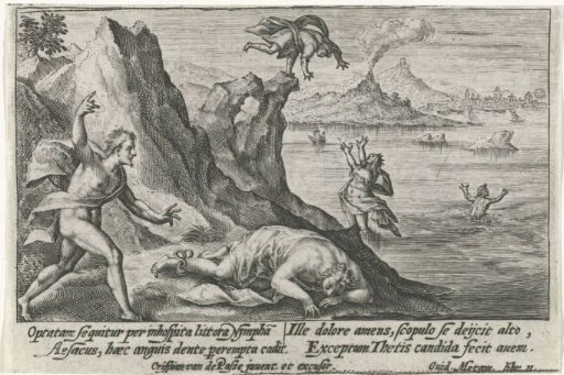 Aesacus Pursues Hesperia