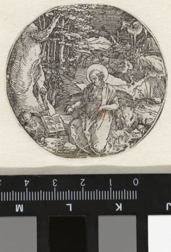 Saint Jerome in the wilderness