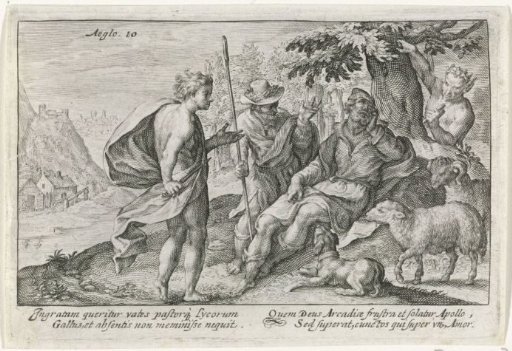 The Shepherd Gallus's Heartbreak