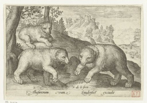 Three bears