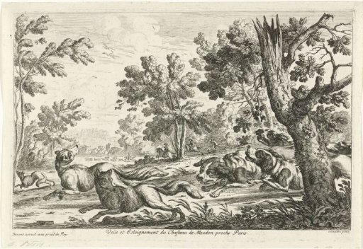 Fox Hunt