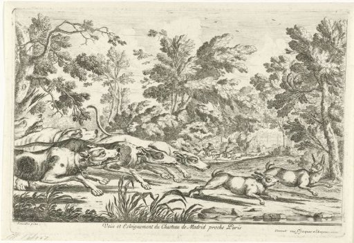 Hare Hunt